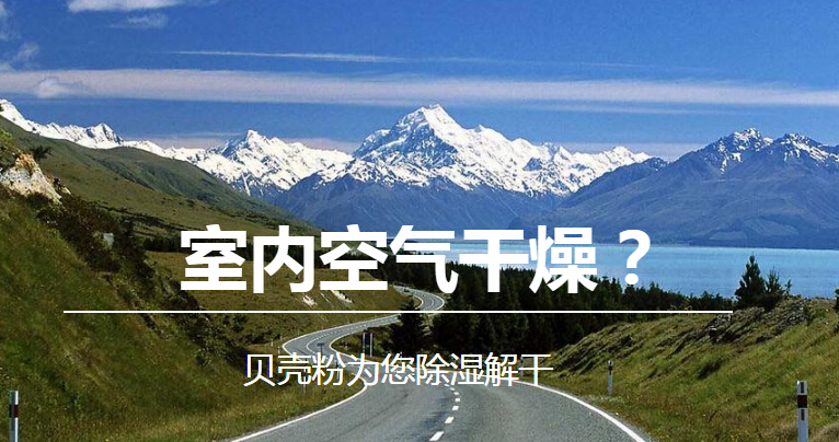 美博士贝壳粉除湿解干