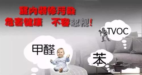 美博士,贝壳粉,美博士贝壳粉官网,环保涂料