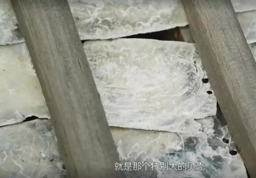 美博士,贝壳粉,贝壳粉涂料代理,环保涂料