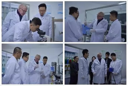 贝壳粉,贝壳粉涂料代理,美博士贝壳粉官网
