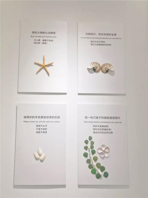 秦皇岛贝壳粉，美博士，贝壳粉
